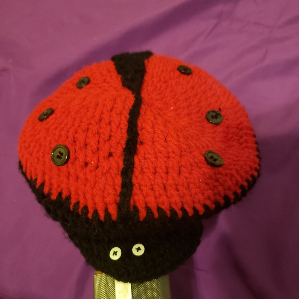 Homemade ladybug beanie